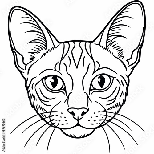 Obraz na płótnie portrait-of-a-cat-head-sfenks w salonie