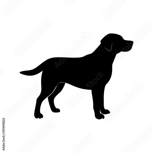 Dog Breeds, Dog Vector Graphic, Dog SVG - digital download svg,