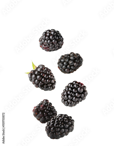 Slices of Blackberry Falling Isolated on White photo