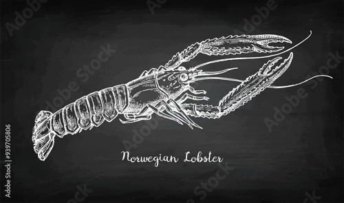 Norwegian lobster chalk sketch.