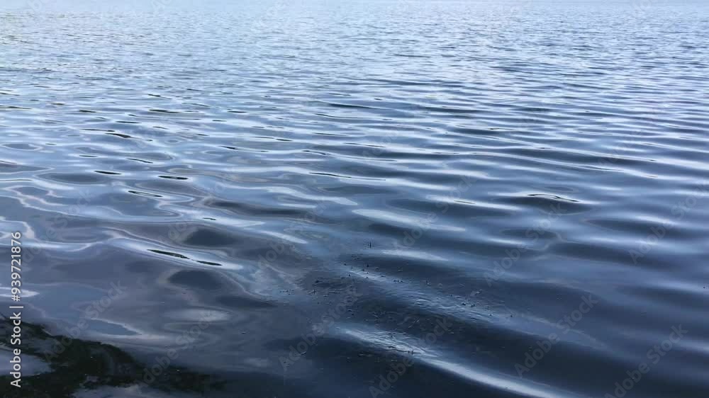 Serene Close-Up of Calm Rippling Blue Lake Water on a Clear Day, Reflecting Subtle Sky Patterns and Gentle Waves, Creating a Peaceful, Tranquil Scene Perfect for Nature Backgrounds and Relaxation Serene Close-Up of Calm Rippling Blue Lake Water on a Clear Day, Reflecting Subtle Sky Patterns and Gentle Waves, Creating a Peaceful, Tranquil Scene Perfect for Nature Backgrounds and Relaxation