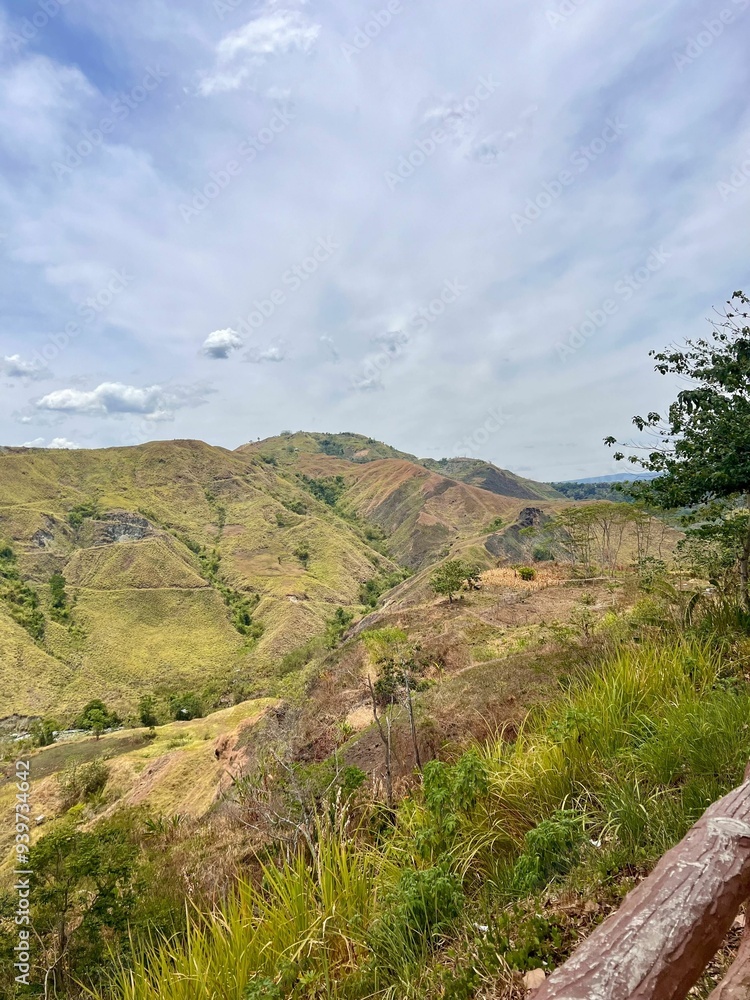 Naklejka premium path to the mountain