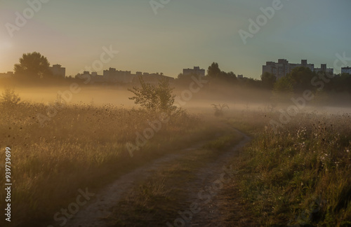 Wallpaper Mural A soft summer morning mist drapes the fields near the city at the end of August, weaving through the golden grasses and whispering the promise of a new day Torontodigital.ca