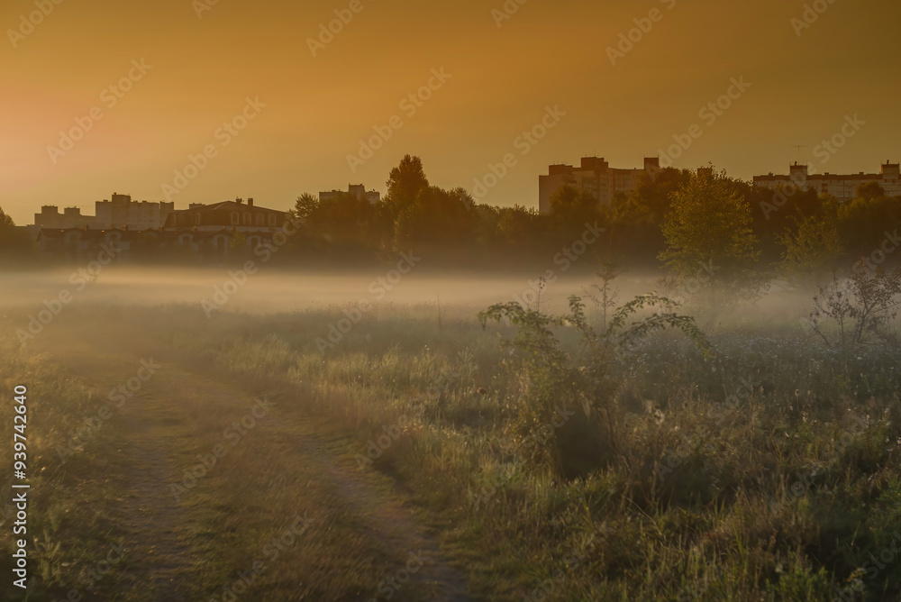 A soft summer morning mist drapes the fields near the city at the end of August, weaving through the golden grasses and whispering the promise of a new day