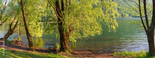 Carlazzo, Italia, Lombardia: sentieri lungo le rive del Lago Piano. Piccola riserva naturale situata in Val Menaggio. Si trova nei pressi del paese di Porlezza photo