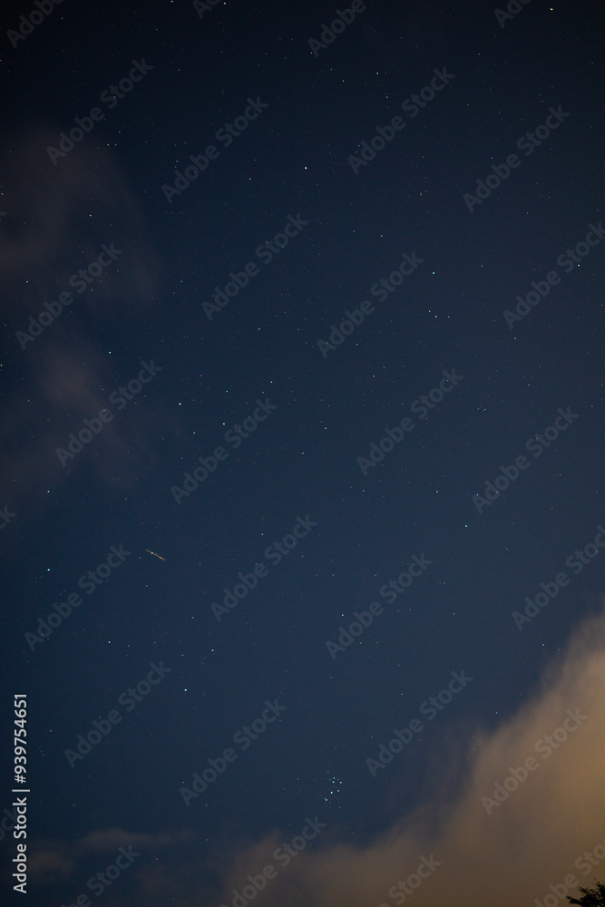 Starry Night Sky with Tree Silhouette and Soft Clouds Starry Night Sky with Tree Silhouette and Soft Clouds