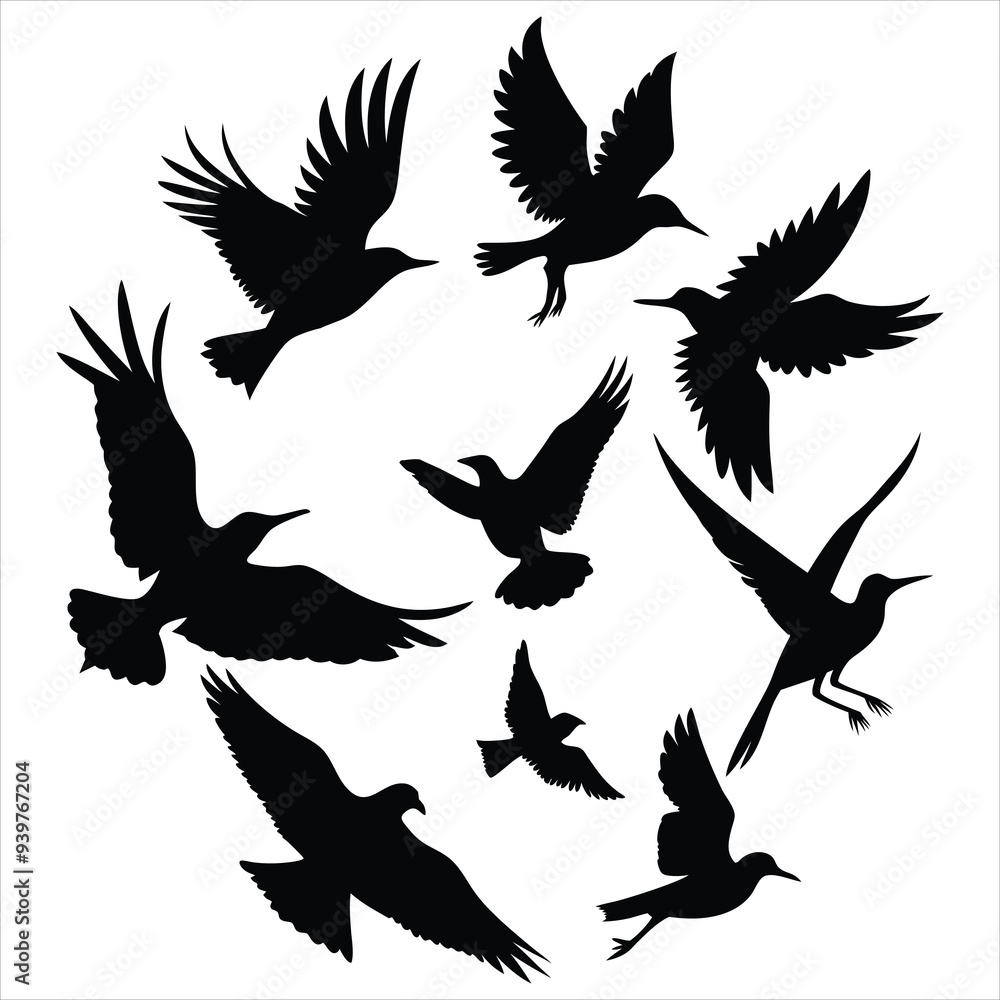 Obraz premium Silhouettes Vector of birds in flight