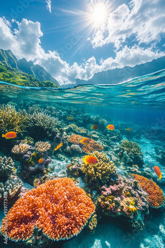 Oceans with coral reefs and diverse marine life