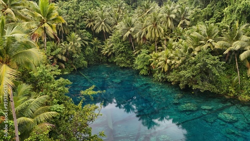 Beautiful tropical lake with crystal clear water and palm trees, Danau Paisu Pok in Luk Panenteng, Indonesia; Danau Paisu Pok Luk Panenteng, Banggai, Sulawesi Tengah, Indonesia