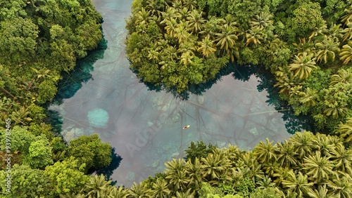 Quadro su tela Beautiful tropical lake with crystal clear water and palm trees, Danau Paisu Pok