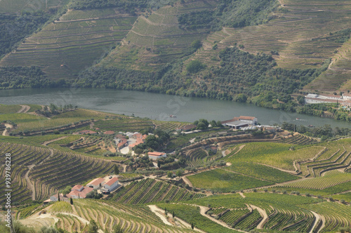 Douro Valley