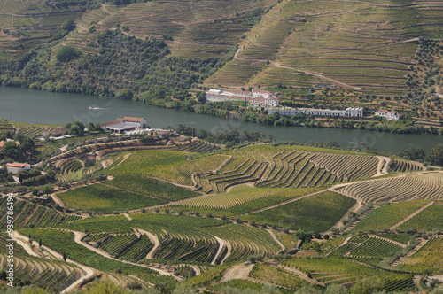 Douro Valley