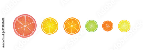 Citrus fruits set. Lemon, lime, citron, orange, mandarin and grapefruit slice pieces isolated over white background.  Vector colorful illustration in realistic style