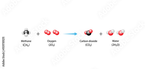 Combustion reaction. Chemical reaction. Methane and oxygen reaction to produce carbon dioxide, water and heat. Experiment explanation. Scientific vector illustration.