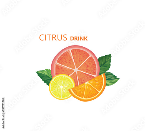 Fresh fruits with mint leaves. Fresh orange, mandarin, grapefruit, lemon sliced pieces. Vector citrus food background with fruits juice drink.