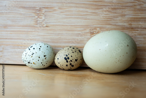 Three different sized blue chicken and quail eggs on wooden surface. Close-up of three eggs of varying sizes and colors, including quail eggs, arranged on a wooden surface with a rustic background photo