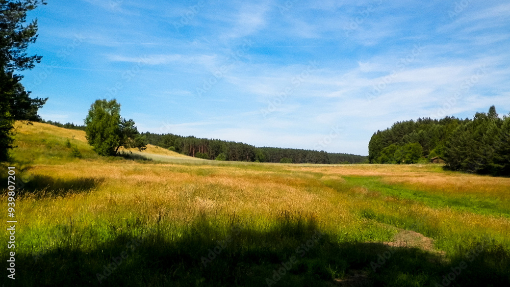 Field in Kashubian village. Field in Kashubian village.