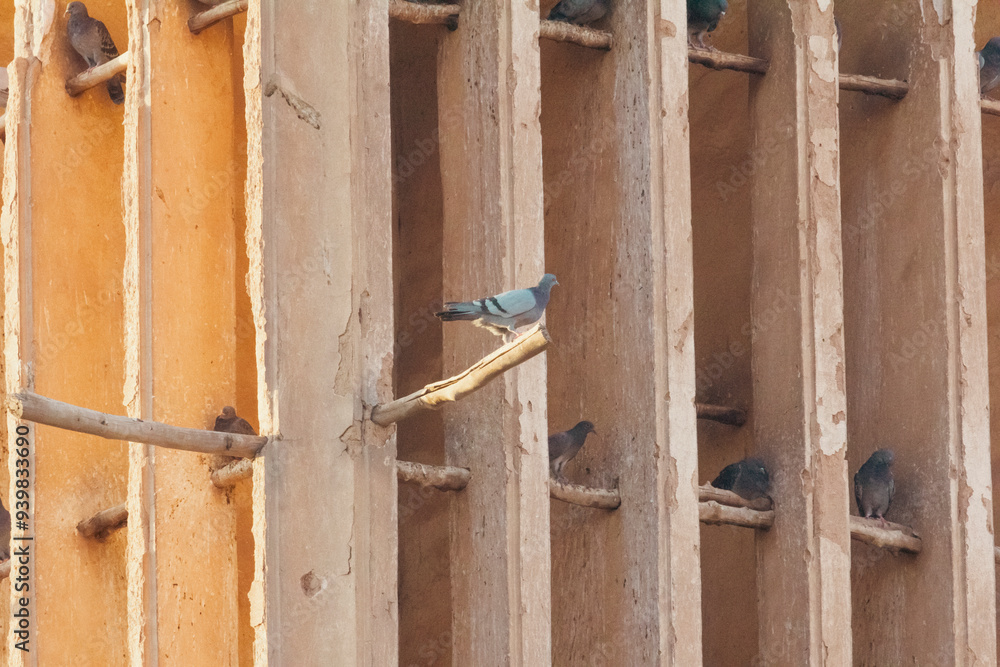 Pigeons perched on a wind catching tower in Yazd, Iran indicating a safe rest and peacefulness. Pigeons perched on a wind catching tower in Yazd, Iran indicating a safe rest and peacefulness.