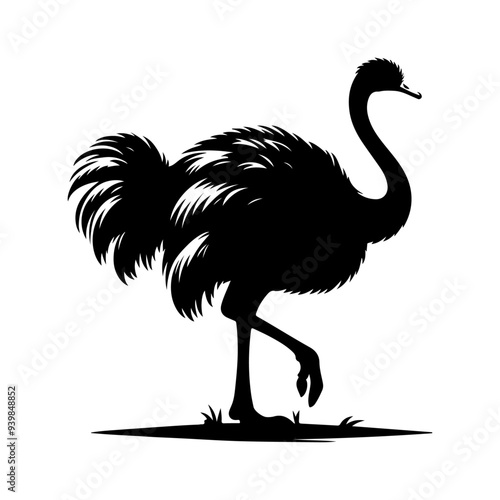 Ostrich silhouette, vector black color silhouette solid white background  photo