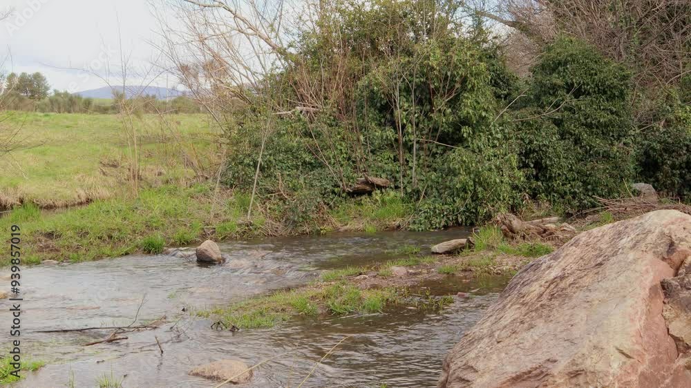 Calm stream flowing through lush green countryside with rocks and foliage Calm stream flowing through lush green countryside with rocks and foliage