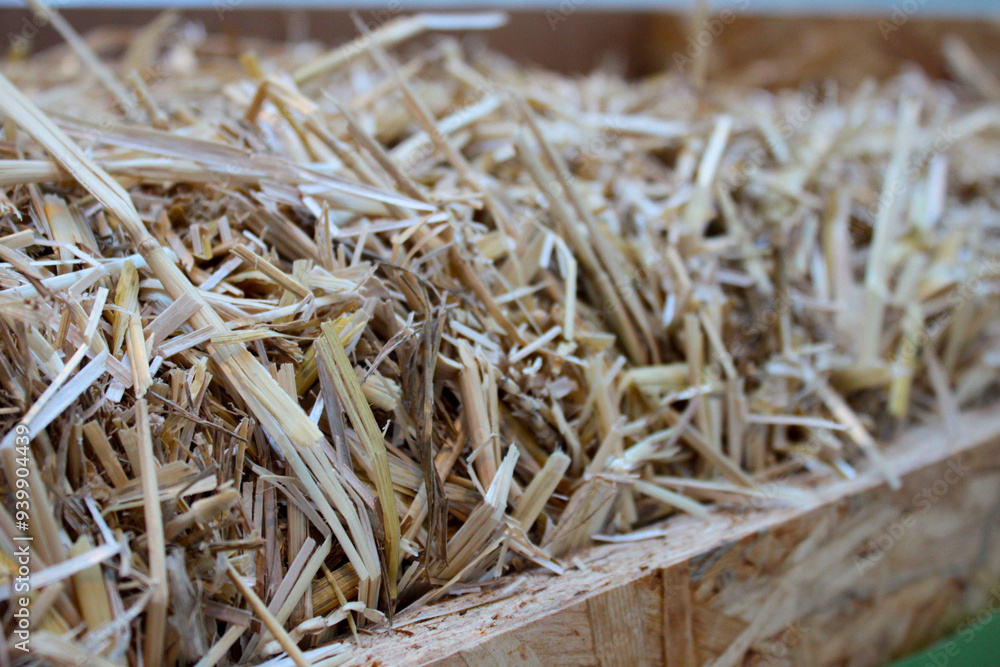 Close-up of a pile of straw or shredded wood in a natural setting. The image highlights the texture and details of the straw, commonly used for animal bedding, gardening, or construction materials.