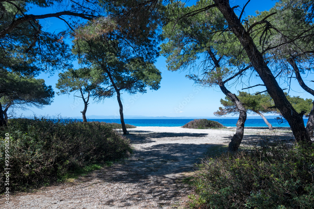 Kassandra coastline near Lagoon Beach, Chalkidiki, Greece Kassandra coastline near Lagoon Beach, Chalkidiki, Greece