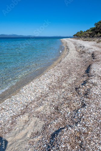 Kassandra coastline near Lagoon Beach, Chalkidiki, Greece photo