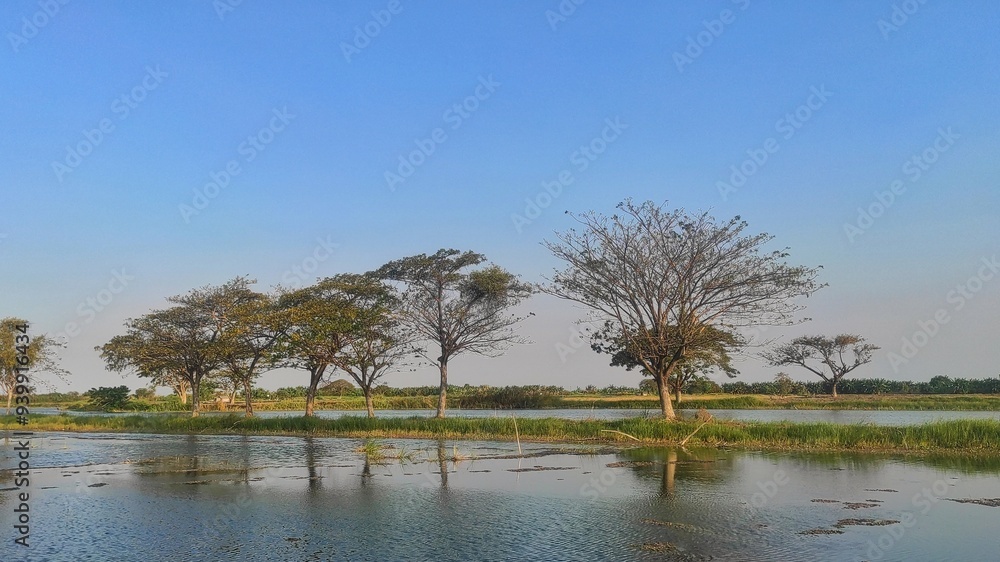 Natural view background of a lake and tree with dirt road during sunny day Natural view background of a lake and tree with dirt road during sunny day