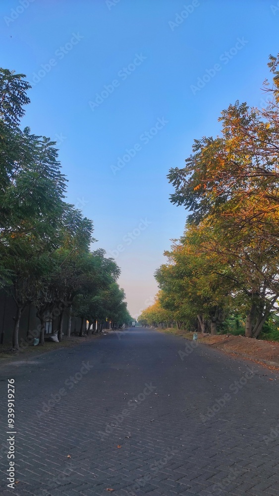Quiet road in an industrial area, lined with trees on both sides, captured during a peaceful moment in the late afternoon Quiet road in an industrial area, lined with trees on both sides, captured during a peaceful moment in the late afternoon