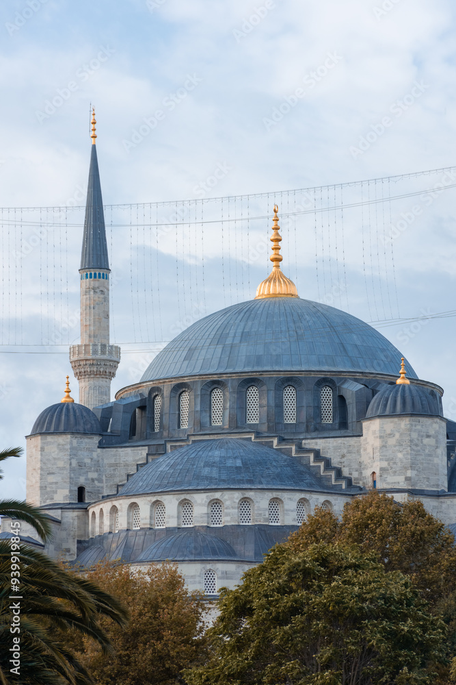 Fototapeta premium Autumnal view of the Blue Mosque from Sultanahmet Square, Istanbul, Turkey