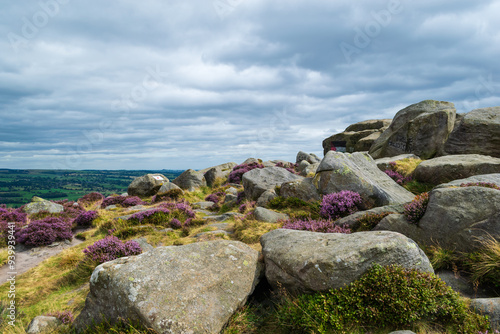 Ilkley Moor