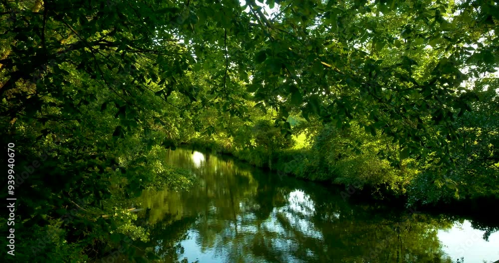 Deciduous trees and wilderness on the riverbank, calmly flowing water, spring, birdsong, relaxation in nature, Spree, biosphere reserve, Spreewald, Germany, Europe Deciduous trees and wilderness on the riverbank, calmly flowing water, spring, birdsong, relaxation in nature, Spree, biosphere reserve, Spreewald, Germany, Europe