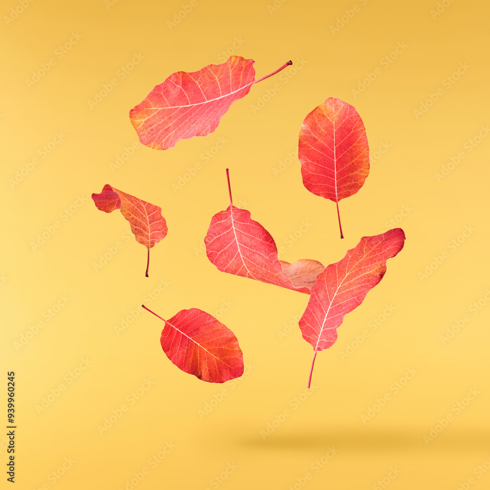 Obraz premium Beautiful bright colorful autumn leaves falling in the air isolated on yellow background. Zero gravity or levitation autumn conception. High resolution image.