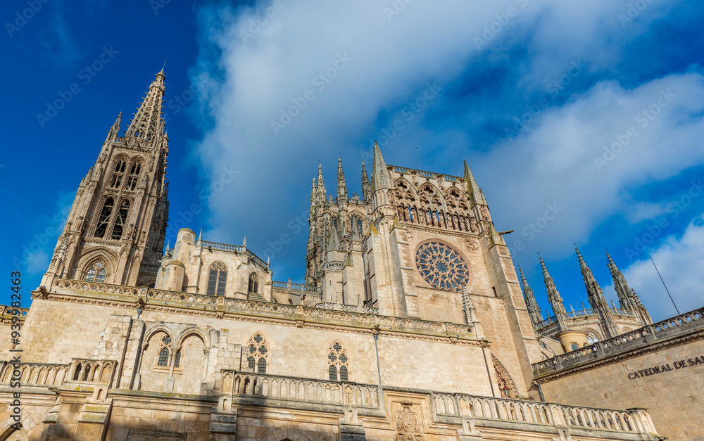 Fototapeta premium catedral de burgos detalles 2023