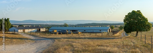 Panorama of a farm near Veszprem, Hungary. Sunrise, nobody. A fork in the road and two buildings near them. Hay bales for feeding cows are on the farm. Yellow, green and blue colors. 