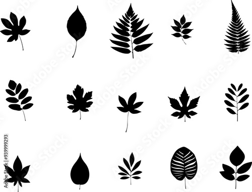 Set de silhouettes de feuilles pour l'automne, vecteur noir fond transparent isolé. 