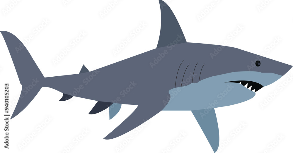 Obraz premium A vector art of a shark.
