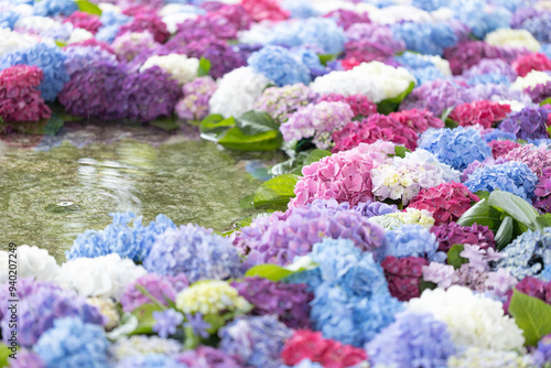 太宰府天満宮　紫陽花の手水舎 photo