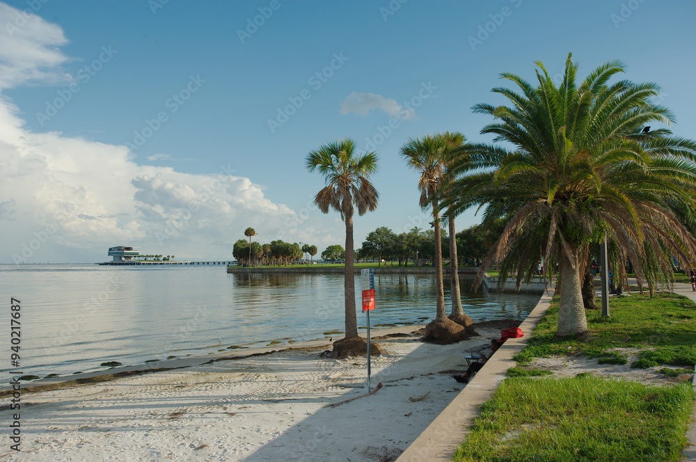 Obraz premium Wide shot Looking south over green grass, palm trees, seawall and sandy beach St. Petersburg, FL. towards Tampa Bay and Pier in back. Partly sunny day with blue sky, gray and white clouds. Reflection