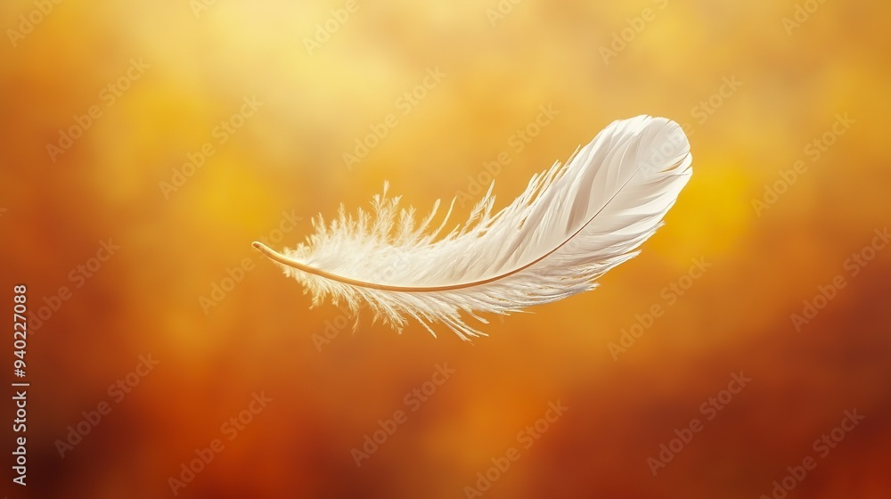A feather in the air A feather in the air