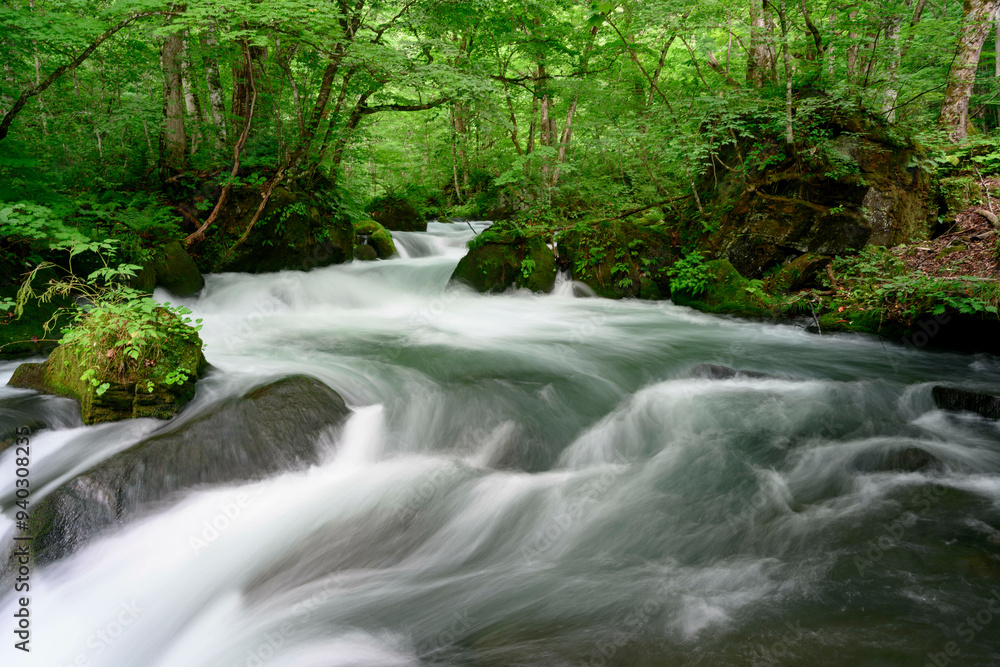 Naklejka premium 奥入瀬渓流