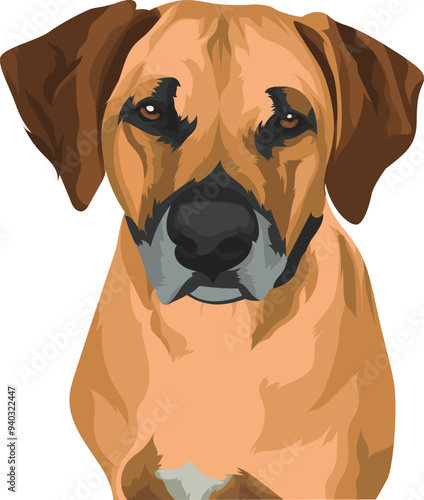portrait of a dane