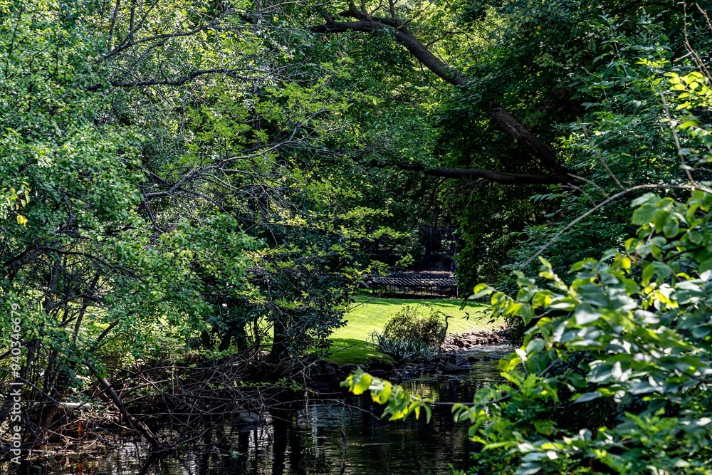 Quarton Lake Park and the Rouge River on a Summer day