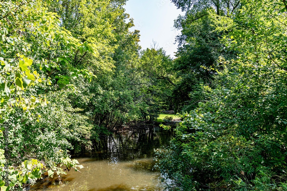 Quarton Lake Park and the Rouge River on a Summer day