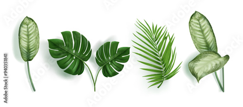 Green tropical leaves for summer and beach vacation design. Palm tree, monstera and dieffenbachia foliage. Realistic 3d vector illustration set of jungle exotic forest plants botanical elements.