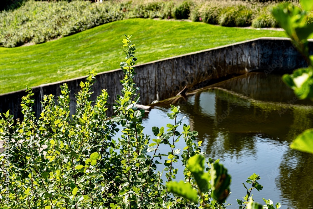 Quarton Lake Park and the Rouge River on a Summer day