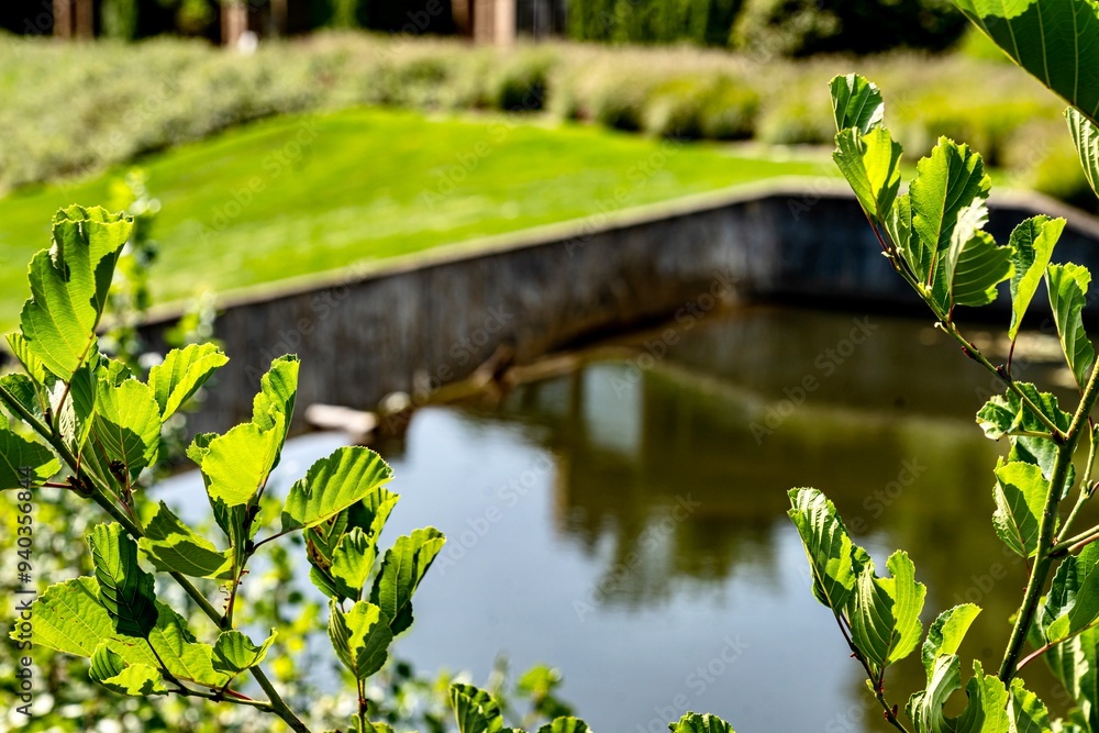 Quarton Lake Park and the Rouge River on a Summer day