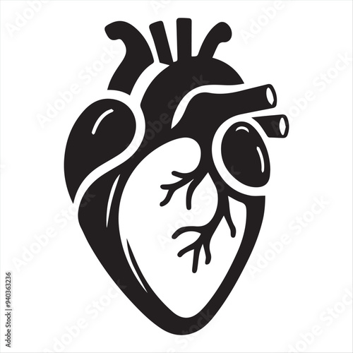 liver vector silhouette on a white background