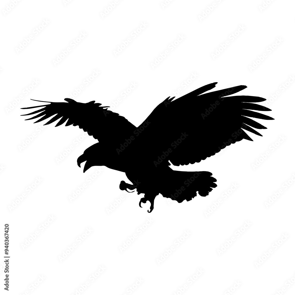 Vector Bald eagle screamed landing swoop Vector Bald eagle screamed landing swoop