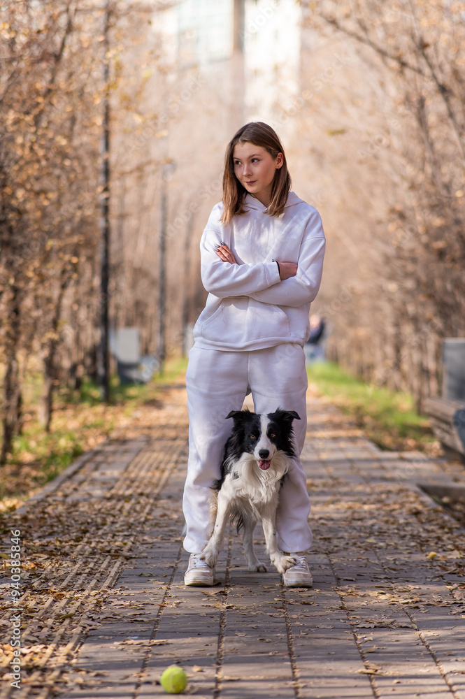 Fototapeta premium Caucasian woman walking with a dog in the park in autumn. The Border Collie jumps very high.
